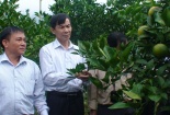 Cao Bằng phê duyệt dự án Nâng cao năng suất chất lượng đến năm 2020
